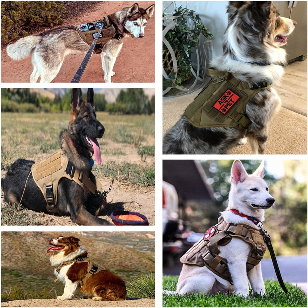 Tactical Dog Harness Pet Shepherd