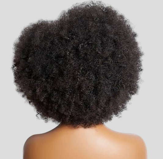 100% Human Hair.            Afro Kinky Curly Lace Front Wig